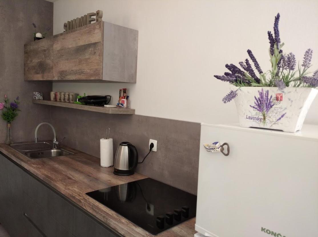 Apartament Dandy Povljana Zewnętrze zdjęcie